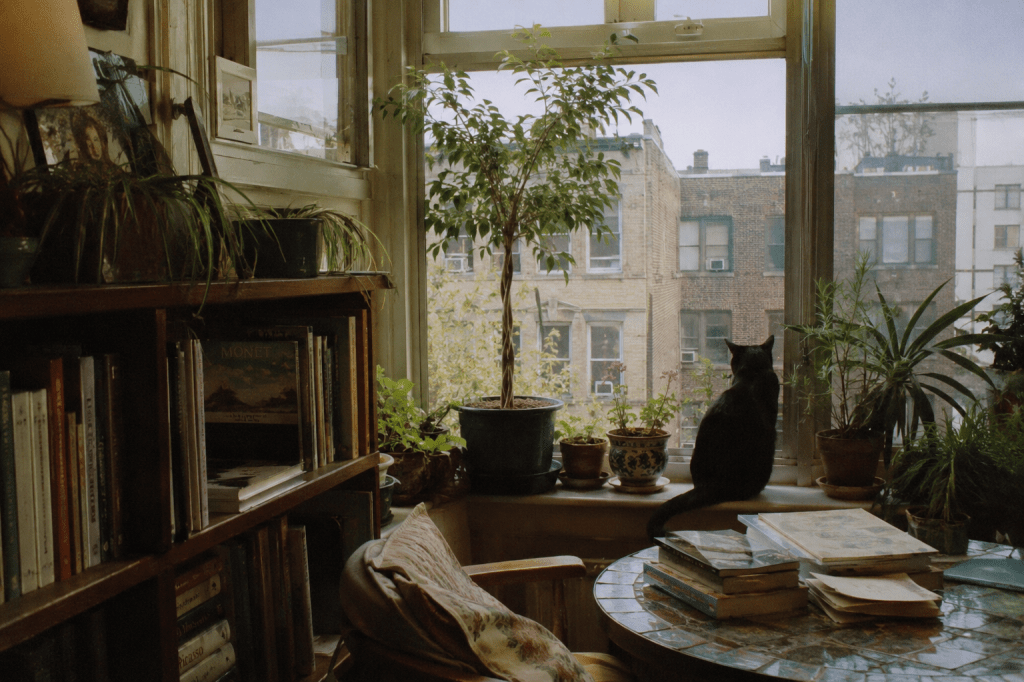 The Apartment That Raised&nbsp;Me